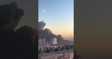 Huge column of smoke seen over western Tehran | AJ #shorts