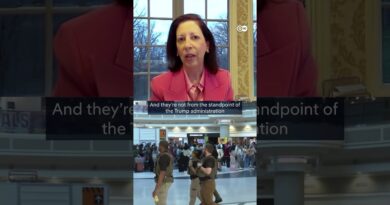 ICE agents deployed at US airports during shutdown | DW News