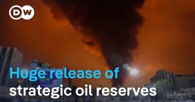 IEA to release record 400 million barrels of crude oil to calm global markets | DW News