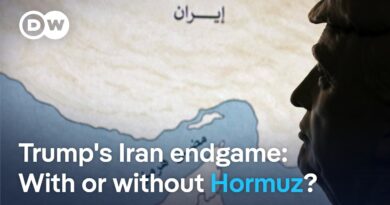 If Hormuz stays shut, who really wins? | DW News