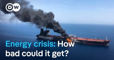 International Energy Agency boss warns of historic energy shock | DW News