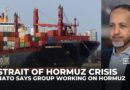 Iran can easily disrupt the Strait of Hormuz and there’s little anyone can do, analyst says