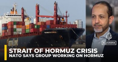 Iran can easily disrupt the Strait of Hormuz and there’s little anyone can do, analyst says