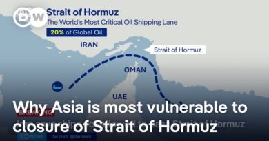 Iran says ships not allowed to pass through Strait of Hormuz | DW News