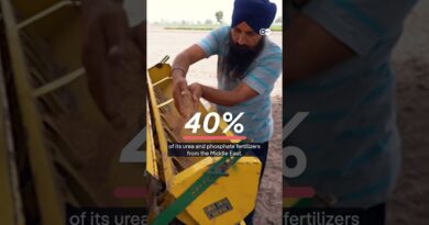 Iran war: Fertilizer shock threatens food security | DW News