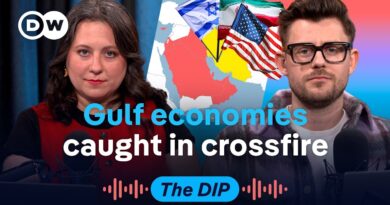 Iran war sends shockwaves through global economy | The Dip Podcast