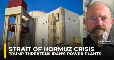 Iran will likely retaliate if the US attacks its power plants, analyst says