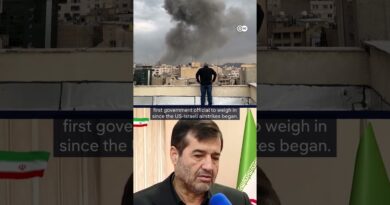 Iran withdraws from FIFA World Cup, minister says | DW News