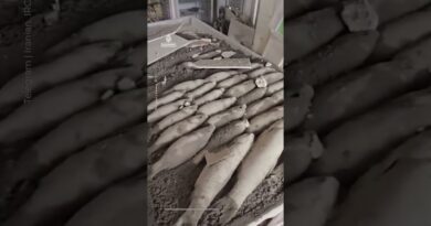 Iranian Red Crescent video shows destruction of Isfahan market