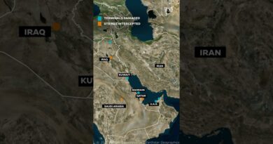 Iranian Strikes Force Airlines to Scramble in Skies Over Middle East