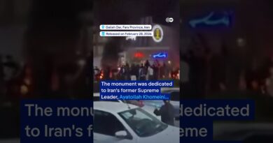 Iranians topple Ayatollah monument | DW News