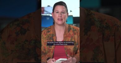 Iran’s human suffering as war and crackdown escalate | DW News