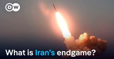 Iran’s strategy is ‘avoid being coerced into negotiations’ | DW News