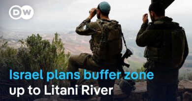 Is it a temporary buffer or something more permanent? | DW News