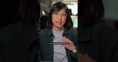 Is it legal for Trump to pursue regime change in Iran? | DW News