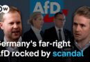 Is the AfD’s nepotism scandal the tip of the iceberg? | DW News