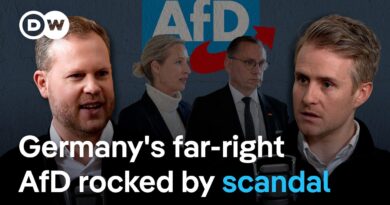Is the AfD’s nepotism scandal the tip of the iceberg? | DW News