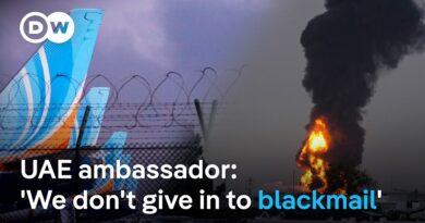 Is the UAE powerless against Iran’s attacks? | DW News