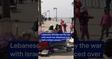 Israel strikes Beirut’s suburbs | DW News