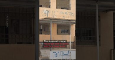 Israeli settlers vandalise school and raise Israeli flag in occupied West Bank | AJ #shorts