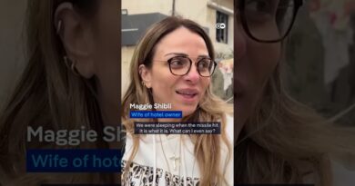 Israeli strikes hit a number of cities in Lebanon | DW News