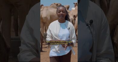 Kenya: When the rain stops | DW News