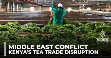 Kenya’s tea exports stalled as Middle East conflict chokes Mombasa port