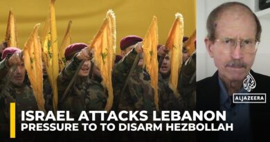 Lebanon’s govt ‘too weak and divided’ to dismantle Hezbollah: Ex‑Australian ambassador to Lebanon