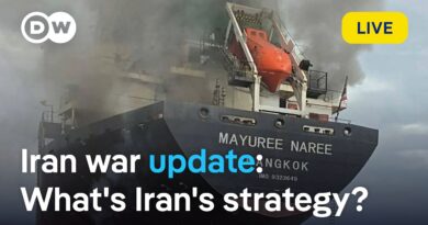 Live: How Iran is playing its last and strongest card in the Strait of Hormuz | DW News