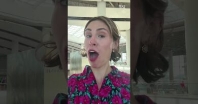 Long Lines and Frustration: Inside Three Airports Across the U.S.