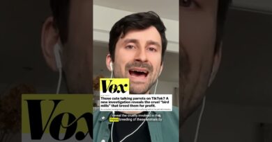 Maybe you shouldn’t own small pets #shorts