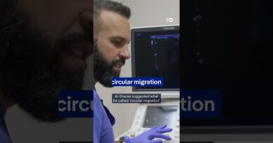 Merz aims for return of 80 percent of all Syrian refugees in Germany | DW News