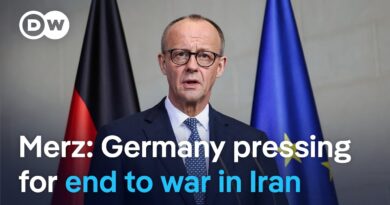 Merz: Germany working with partners to help end Iran war | DW News