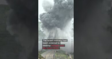 Moment Israeli strike hits bridge in southern Lebanon