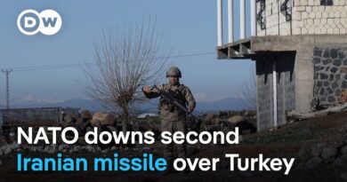 NATO confirms it shot down second Iranian missile over Turkey | DW News