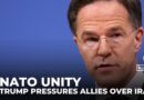 NATO unity tested as Trump pressures allies over Iran