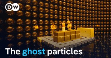 Neutrinos: Do they reveal the secrets of the universe? | DW Documentary