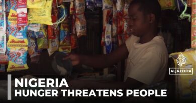 Nigeria hunger crisis: Insurgent attacks and aid cuts impact food supplies