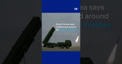 North Korea test ‘nuclear-capable’ missiles | DW News