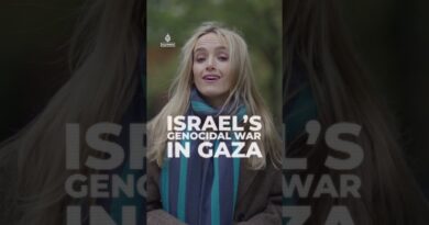 Off-duty London police officer filmed ‘intimidating’ Al Jazeera journalists