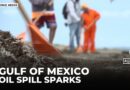 Oil Spill Devastates Fishermen in Gulf of Mexico at Peak Season