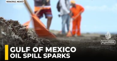 Oil Spill Devastates Fishermen in Gulf of Mexico at Peak Season