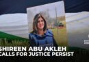 Palestinian journalist Shireen Abu Akleh honoured in London as calls for justice persist