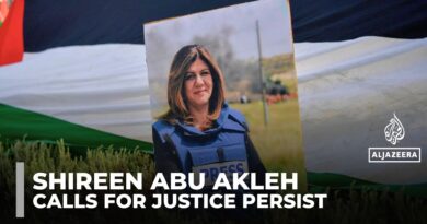 Palestinian journalist Shireen Abu Akleh honoured in London as calls for justice persist