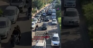 People are tracking this shepherd fleeing Israeli strikes in Lebanon | AJ #shorts