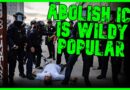 POLL: ‘ABOLISH ICE’ WILDLY POPULAR & THE ‘MODERATE’ POSITION | The Kyle Kulinski Show