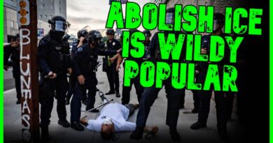 POLL: ‘ABOLISH ICE’ WILDLY POPULAR & THE ‘MODERATE’ POSITION | The Kyle Kulinski Show