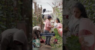 Reaching independence through sustainable farming | DW Documentary