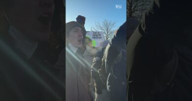 Record Number of Protesters Show Up at Minnesota ‘No Kings’ Rally | WSJ