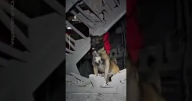 Red Crescent video shows aftermath of strike on homes in Iran’s Urmia | AJ #shorts